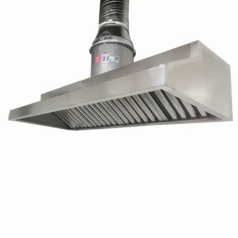 Sistem Penghisap Asap Komersia - Range Commercial Kitchen ulasan dan harga